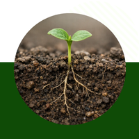 Стимулятор росту рослин