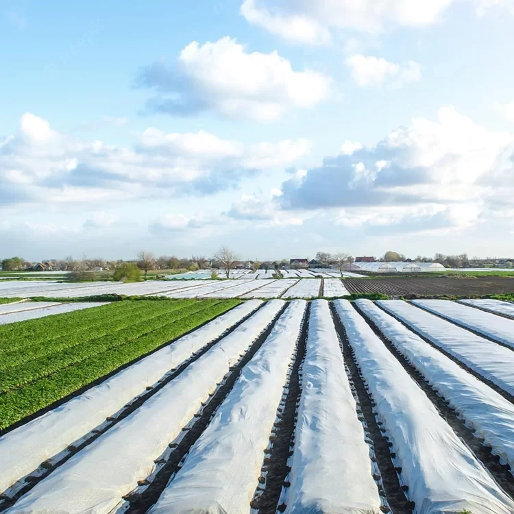 Агроволокно укривне Agreen 30 г/м² (3,2х25) біле