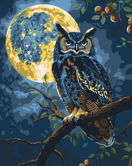 Картина по номерам ArtCraft Хранитель звездного света с