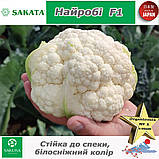 Капуста цвітна Найробі F1, 1000 насінин, ТМ Sakata (Японія), фото 2