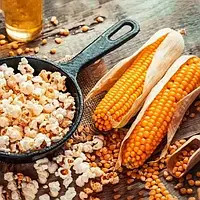 Кукурудза Поп Корн (20г) TM GL Seeds