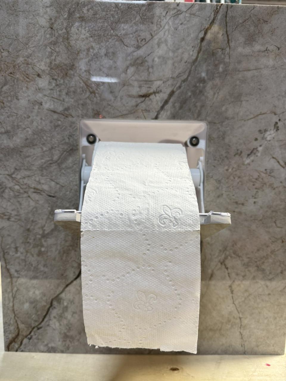 Тримач для туалетного паперу прихованого монтажу, білий, фото 1