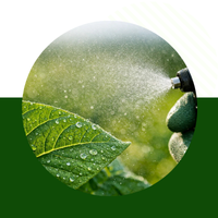 Мікроелементи