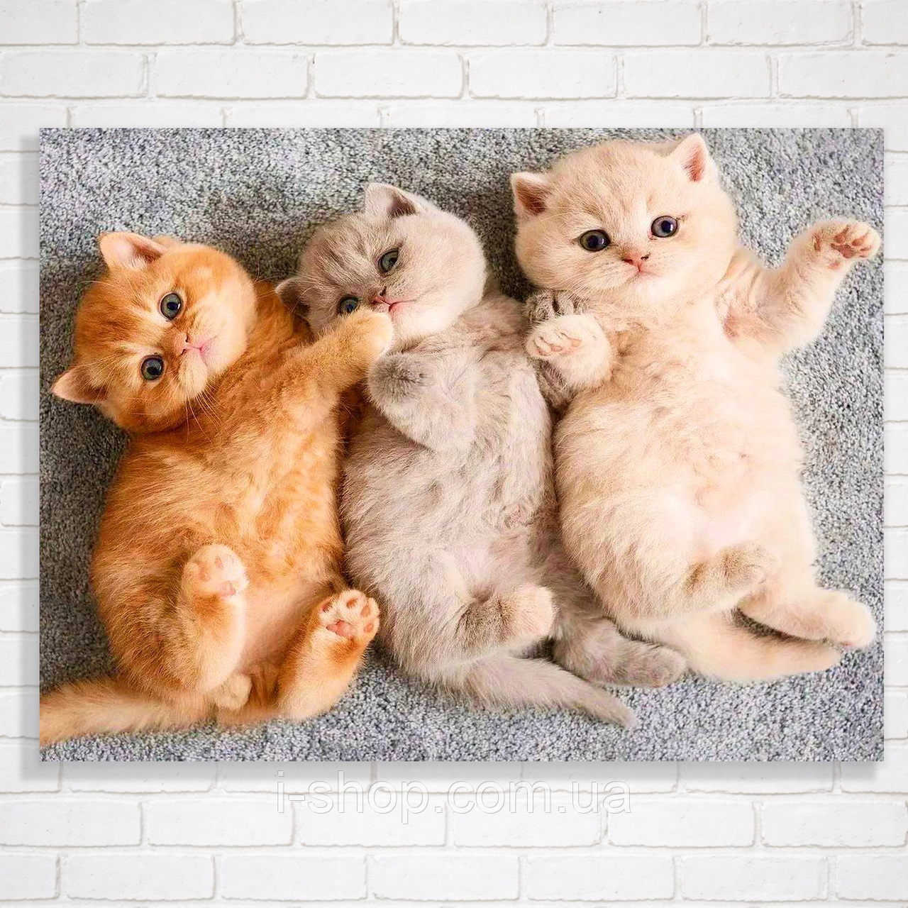 Алмазна мозаїка коти Кошенята і ніжність 30x40 см з рамкою набір для творчості Dreamtoys у коробці, фото 1
