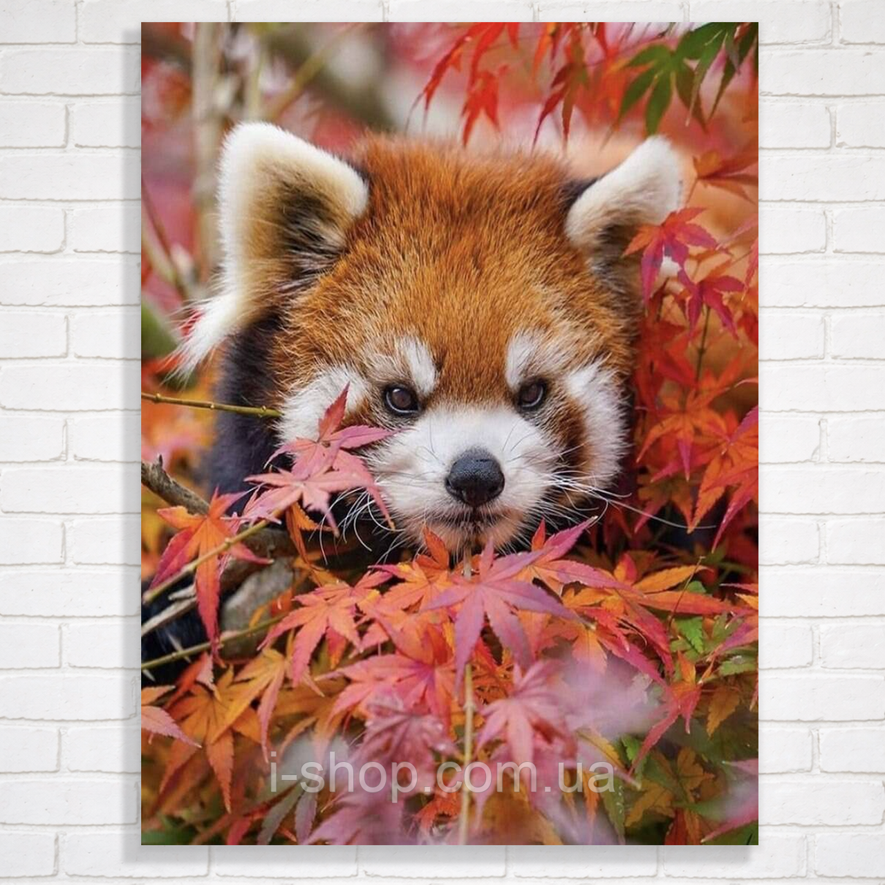 Алмазна мозаїка панда з рамкою картина осіннє листя 30x40 см у коробці для творчості та подарунка, фото 1