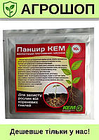 Панцир КЕМ інсектицидно-фунгіцидний протруйник насіння, 10 г