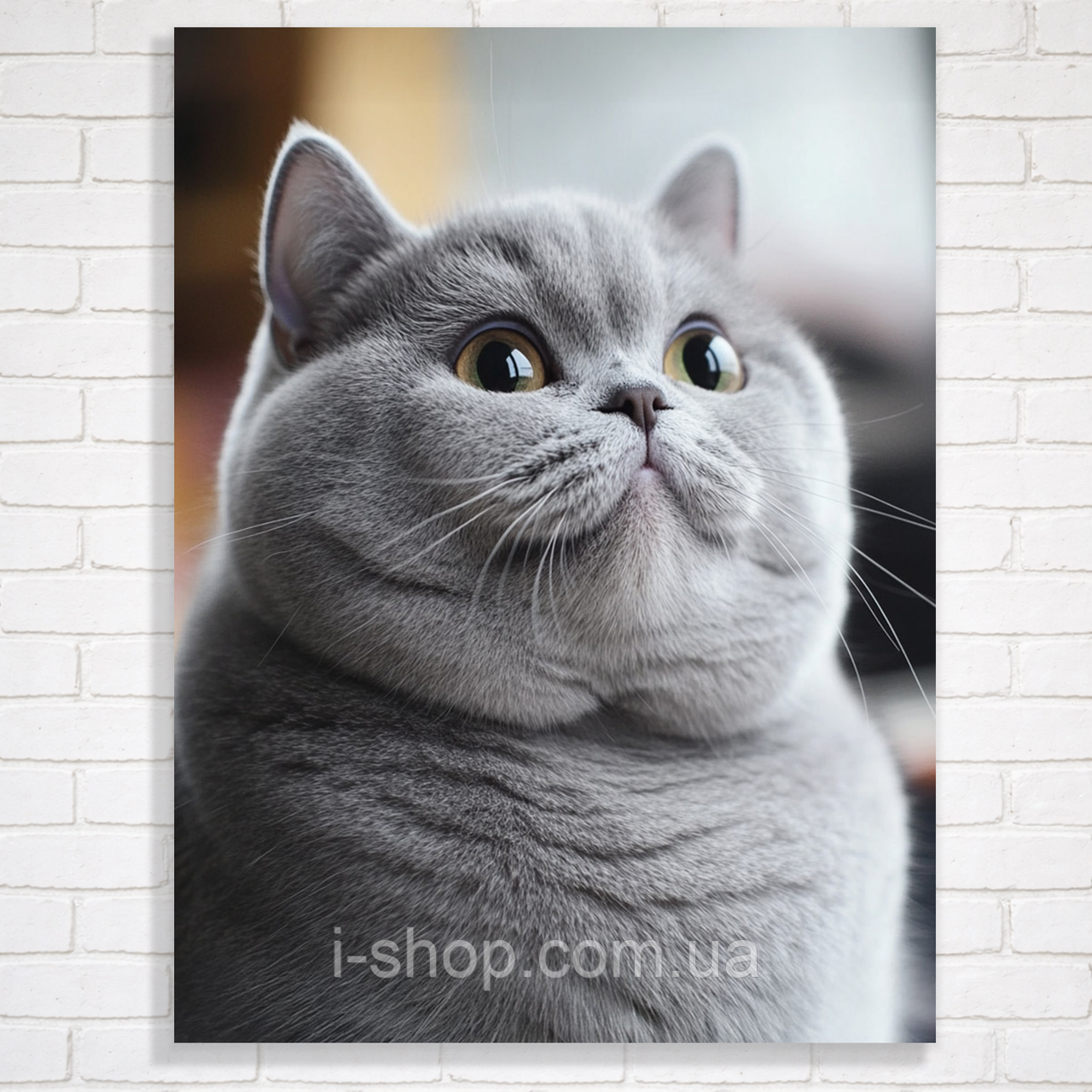 Алмазна мозаїка британський кіт набір для творчості картина алмазна мозаїка 30х40 см на рамці Dreamtoys, фото 1