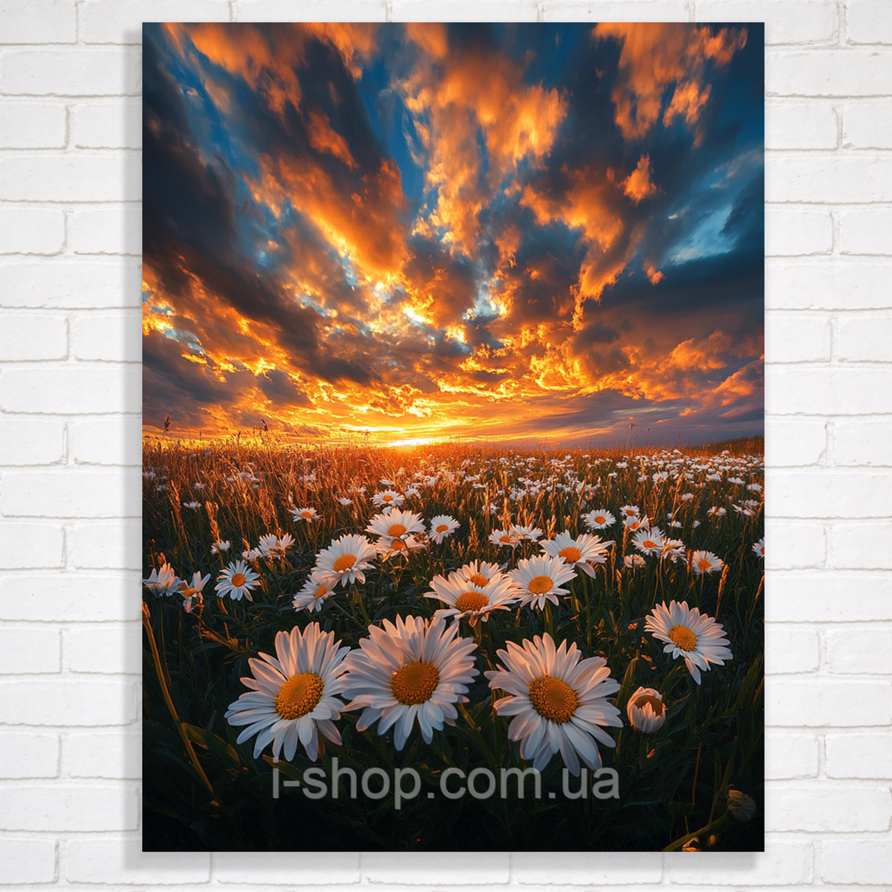 Алмазна мозаїка захід сонця Золотий захід сонця 30х40 см на підрамнику набір для алмазної мозаїки Dreamtoys, фото 1