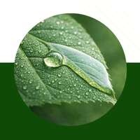 Прилипачі, адьюванти