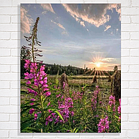 Алмазна мозаїка на підрамнику 40x50 см квіти на заході для дорослих набір для творчості Dreamtoys