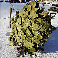 Віники для лазні