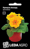ТМ LEDAAGRO Примула Акорд F1 помаранчева 10шт