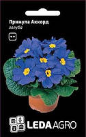ТМ LEDAAGRO Примула Акорд F1 блакитна 10шт