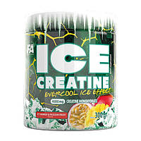 Fitness Authority Ice Creatine (300 g, icy mango & passion fruit)