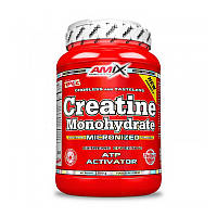 AMIX Creatine Monohydrate (1 kg, unflavored)