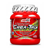 AMIX Crea-Trix (824 g, fruit punch)