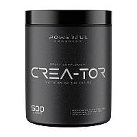 Powerful Progress Crea-Tor Micronized (500 g, unflavored)
