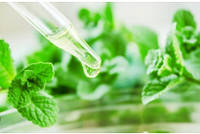 Фітоекстракти (рідкі) трав.