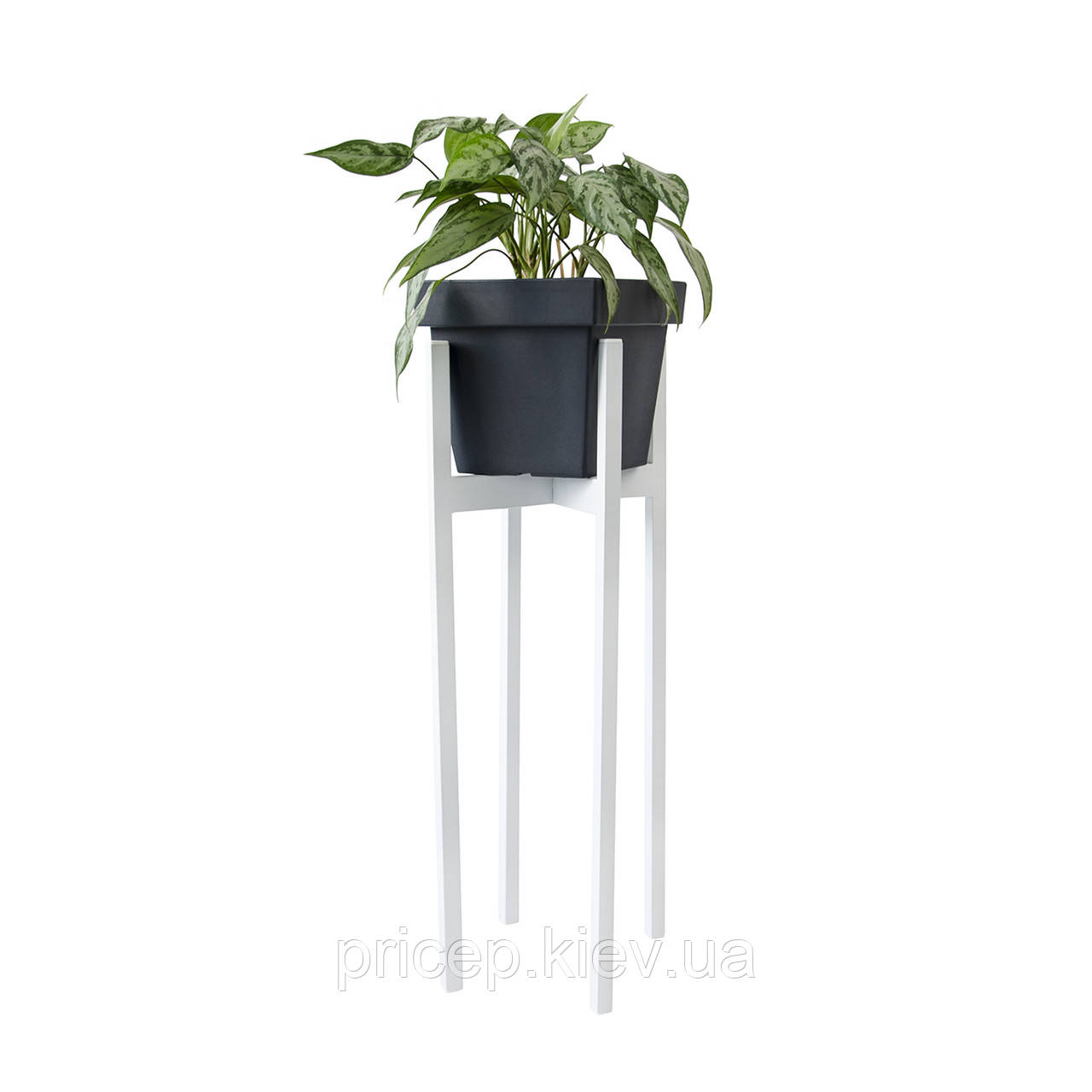 Підставка металева під квіти "Кротон", біла