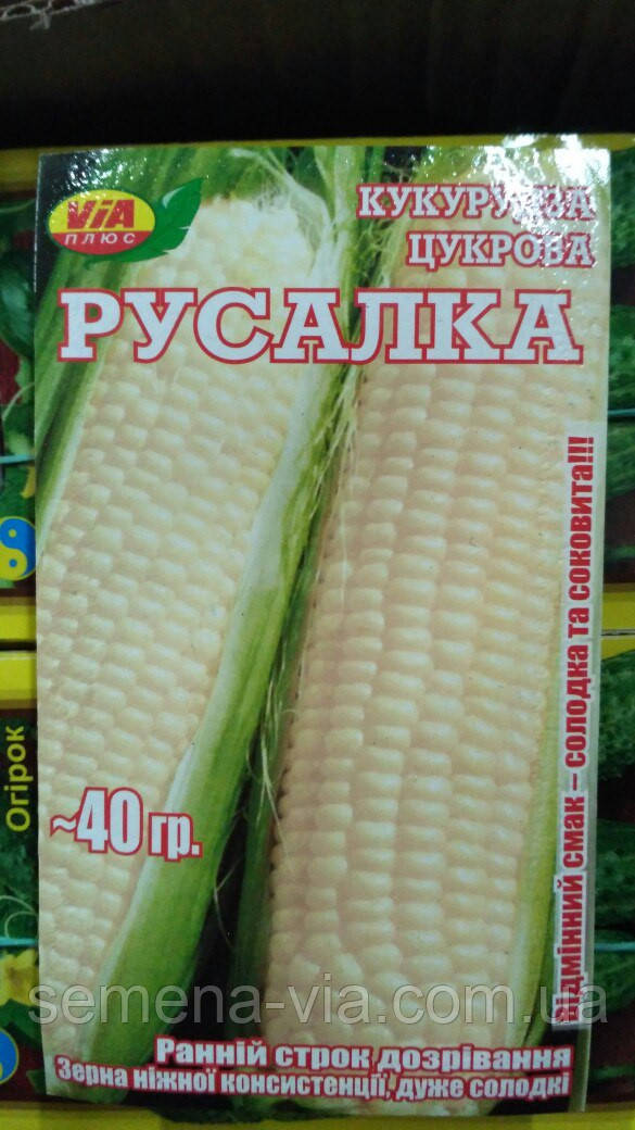Насіння кукурудзи Русалка (50 грамів) ТМ VIA плюс, фото 1