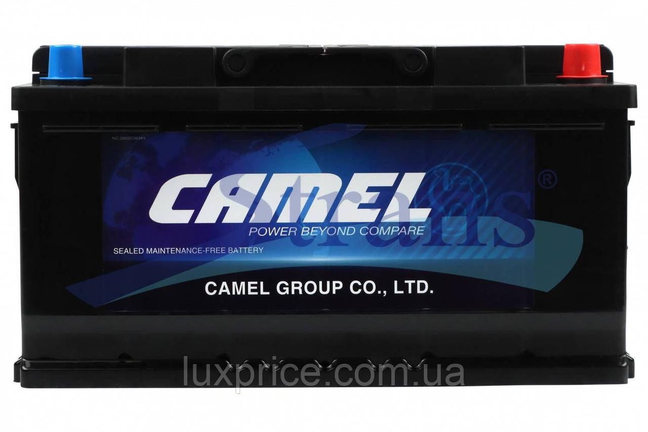 Акумулятор Camel 12V 100Ah 800A R+ 353*175*190Mm 60044LuxPrice, фото 1