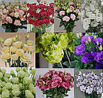 Еустома (лізіантус) 🌸 Підготовка та догляд.