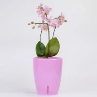 Орхідейниця з автополивом Orhidea TWIN рожевий нектар 1,3 л, фото 1
