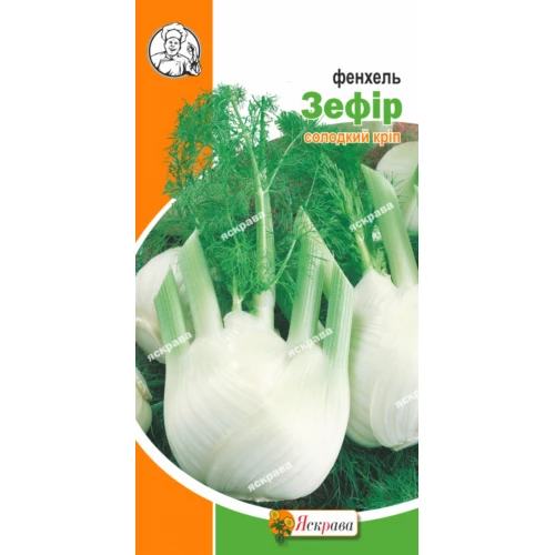Насіння Фенхелю Зефір 1г Многолнтнее., фото 1