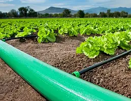 Плоскі шланги Lay Flat для магістралі крапельного поливу.