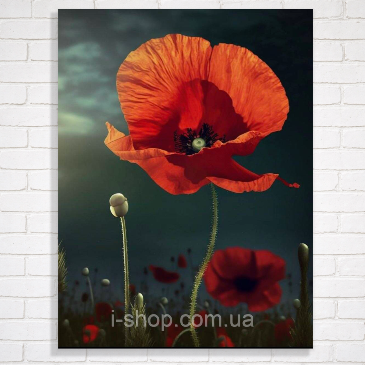 Алмазна мозаїка маки на тлі ночі 30x40 см з рамкою набір для творчості алмазна мозаїка картина, фото 1