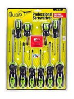 Набір викруток 10 предметів шліцьові та хрестові для домашнього та професійного використання SPICY