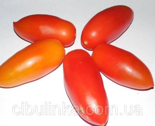 Томат Капела (інкрустований) 10 шт., фото 1