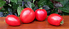 Томат Гном Червоне серце (70-100 см) 0,1 г, фото 3