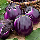 Баклажан Флоренція 20 шт (zip-paket), фото 7