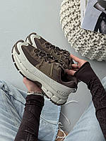 Zoom Roam Light Bone/ Mink Brown-Court Purple 36