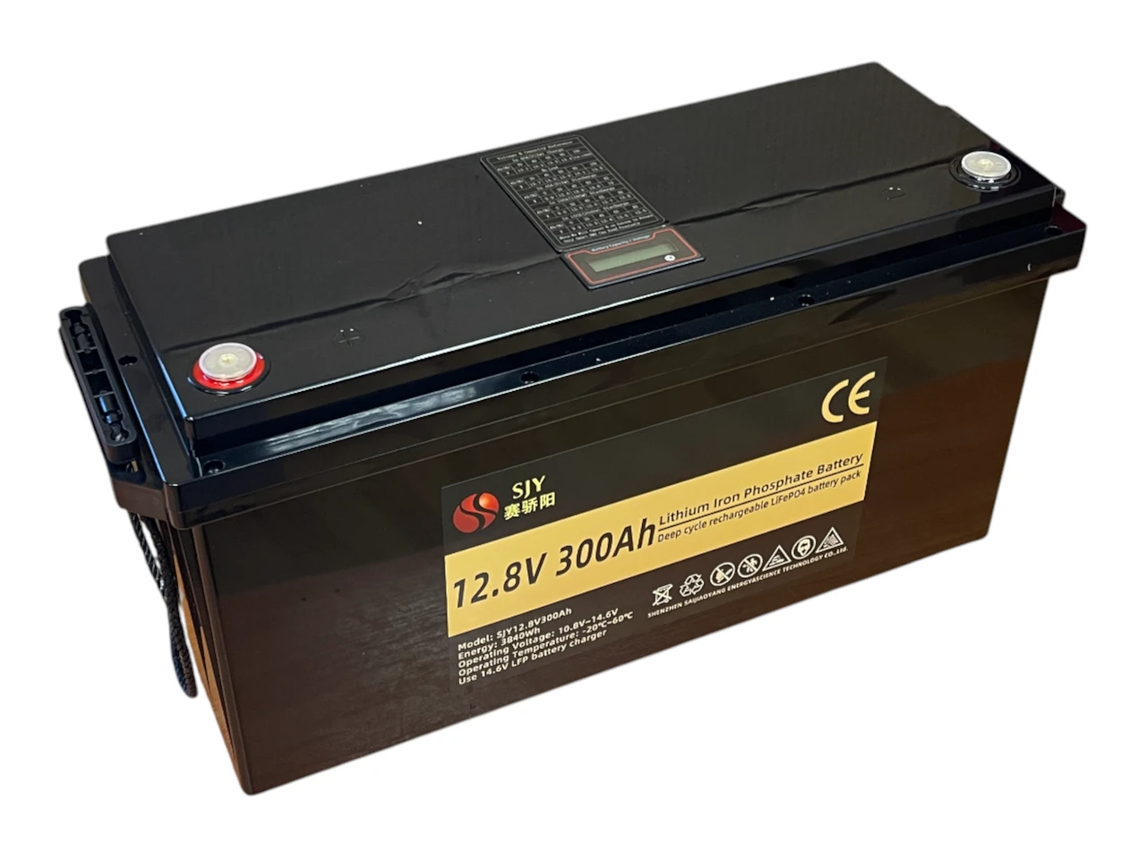 Акумуляторна батарея SJY LiFePO4 12.8V 300Ah 3840Wh (BMS 200A), фото 1
