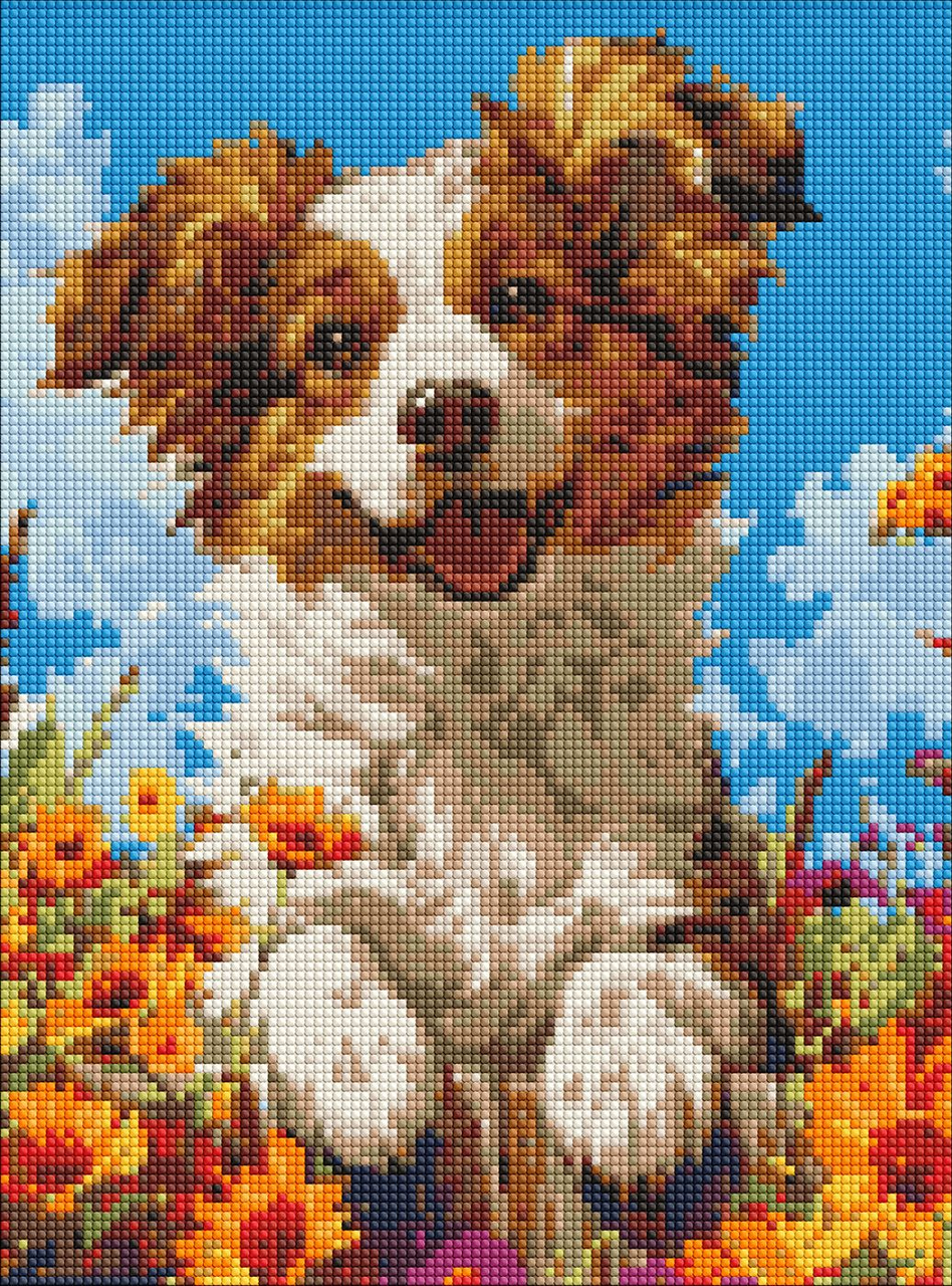 Набір з алмазною мозаїкою "Собака у квітах" 30х40см, фото 1