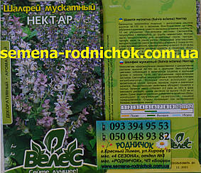 Шалфей мускатный сорт Нектар многолетнее эфиромасличное лекарственное растение
