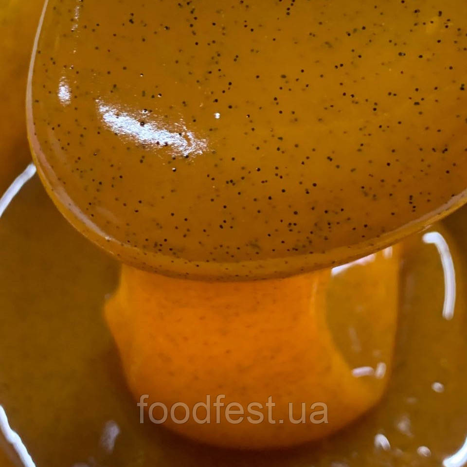 Паста ванільна Joypaste Vanilla Сaribe TM IRCA (пакування 100 грам), фото 1