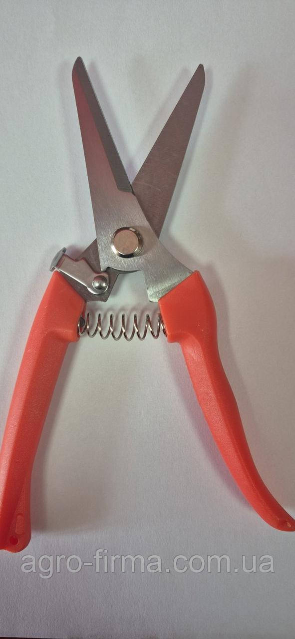 Кліщі для корекції копит для овець та кіз, фото 1