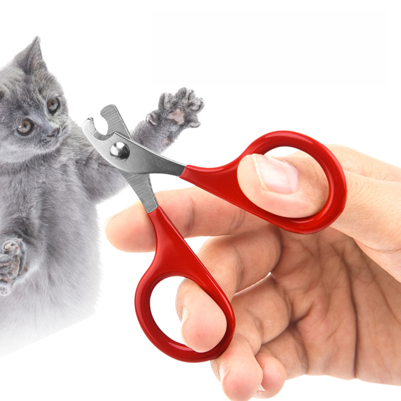 Ножиці для обрізання кігтів кішок і дрібних собак - компактний кігтерез