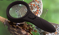 Лупа - 60 0559 (d-60mm) з LED підсвічуванням