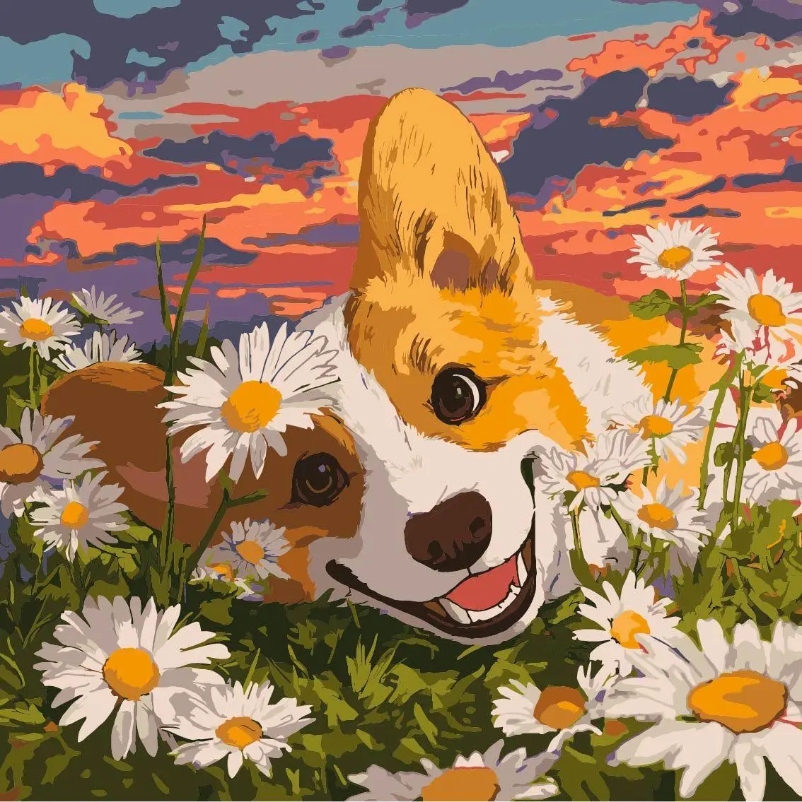 Набір для розпису по номерах "Коргі в ромашках" 40х40см, фото 1