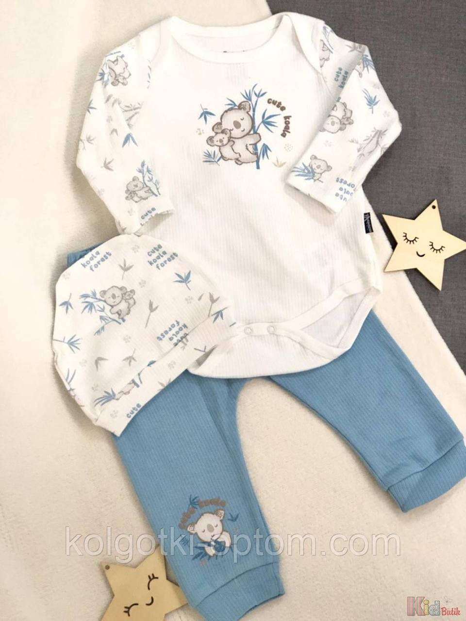 ОПТОМ Упаковка (62-68)  Костюм 3-ка боді+штани+шапка сині "Коала" No name 1111000067746, фото 1