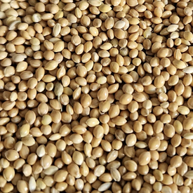 Просо для папуг та птахів | 25 кг | 2025 рік