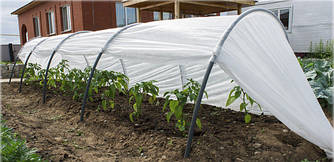 Парник Агро-Лідер з агроволокна 3 метри 42 г/м2 у комплекті з кілочками