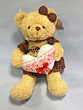 Ведмедик у плаття, 48х22 см, плюш, Подарунки, Дніпропетровськ, фото 2