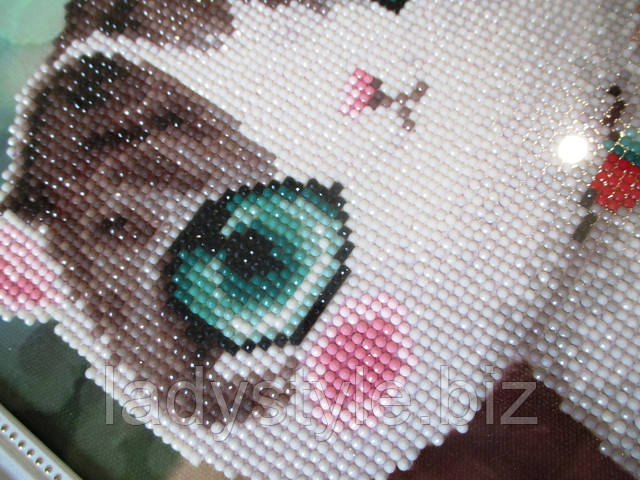 Картина стразами картини бісер стрази прикраси подарунок купити сувеніри ювілей подарунок дитині