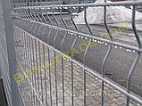 Панельні паркани із сітки в ПВХ, фото 2