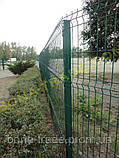 Панельні заборні сітки, фото 3